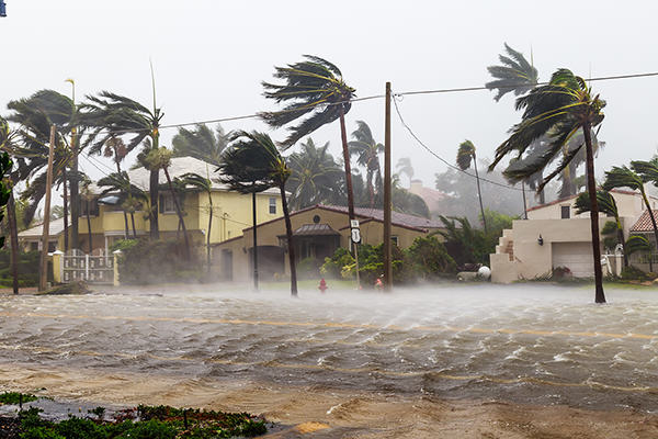 Flooded Las Olas Blvd and Palm trees blowing in the winds