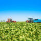 Agricultural machines in a soy field in a bright sunny summer day.