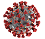 coronavirus home page graphic