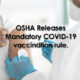 OSHA vaccine graphic feat image