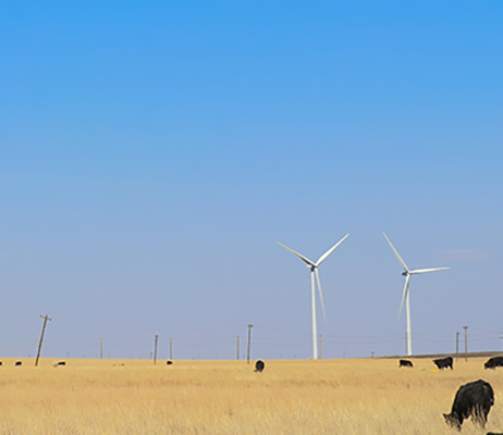 Wind turbines and oil well