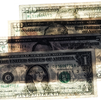 see through assorted US dollars