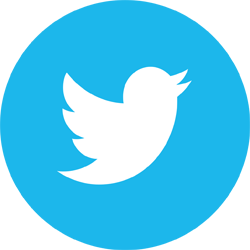 Twitter Icon